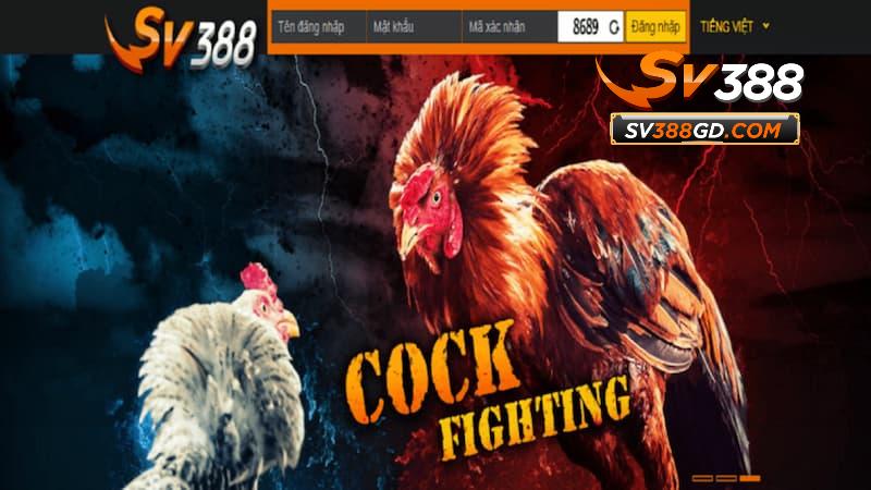 Khái quát chung thông tin giới thiệu SV388 Khái quát chung thông tin giới thiệu SV388