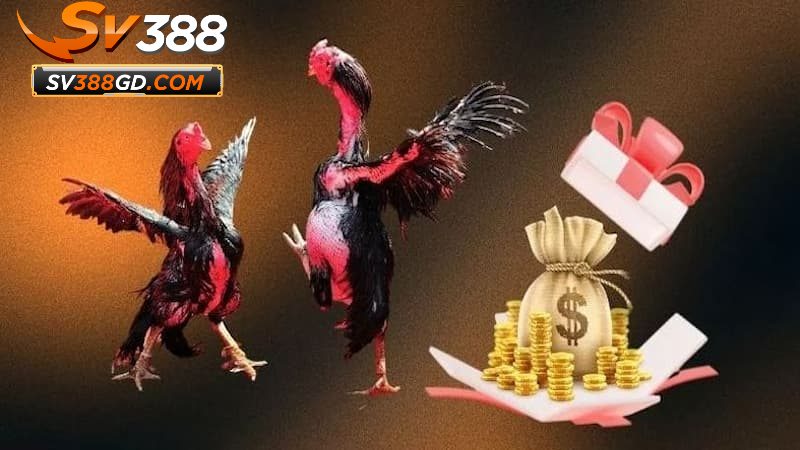 Hướng dẫn nhận khuyến mãi SV388 chuẩn chỉnh nhất Hướng dẫn nhận khuyến mãi SV388 chuẩn chỉnh nhất