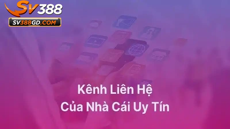 Các phương thức liên hệ SV388 phổ biến nhất Các phương thức liên hệ SV388 phổ biến nhất
