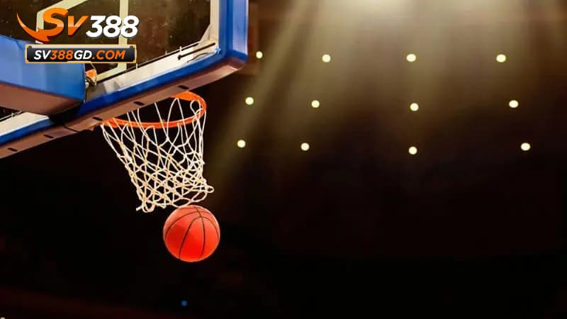Các loại hình thể thao Saba Sport SV388 cung cấp Các loại hình thể thao Saba Sport SV388 cung cấp