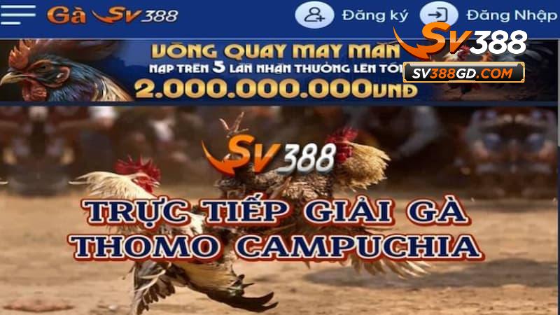 CEO định hướng tương lai cho SV388 CEO định hướng tương lai cho SV388